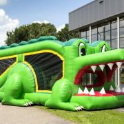 LE CROCO